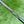 Load image into Gallery viewer, Chrome Bronze Timeless (TT) SSS w/3x Hot Head Harry Stamping &amp; Black Tour Shaft
