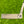 Load image into Gallery viewer, Brand New Chromatic Bronze Tour F-3 (Tour Del Mar) Prototype SSS w/Black Shaft
