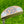 Load image into Gallery viewer, Brand New Chromatic Bronze Tour F-3 (Tour Del Mar) Prototype SSS w/Black Shaft

