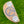 Load image into Gallery viewer, Brand New Chromatic Bronze Tour F-3 (Tour Del Mar) Prototype SSS w/Black Shaft
