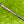 Load image into Gallery viewer, Brand New Chromatic Bronze Tour F-3 (Tour Del Mar) Prototype SSS w/Black Shaft
