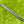 Load image into Gallery viewer, Brand New Chromatic Bronze Tour F-3 (Tour Del Mar) Prototype SSS w/Black Shaft
