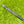 Load image into Gallery viewer, Brand New Chromatic Bronze Tour F-3 (Tour Del Mar) Prototype SSS w/Black Shaft
