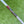 Load image into Gallery viewer, Tour Phantom X T5.5 w/Flojet Neck &amp; 3x Top Line Alignment Aid
