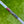 Load image into Gallery viewer, Brand New Made for the Tour Center Shafted Phantom X T5/S SSS Prototype
