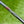 Load image into Gallery viewer, Made for the Tour Phantom T5 OC w/Black Shaft
