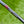 Load image into Gallery viewer, Lefty Tour Studio Style Fastback 1.5 w/Flojet Neck &amp; Black Tour Shaft
