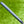 Load image into Gallery viewer, Made for the Tour Phantom T5 OC w/Black Shaft
