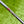 Load image into Gallery viewer, Made for the Tour Studio Style Fastback OC w/Black Tour Shaft
