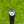 Load image into Gallery viewer, Made for the Tour Studio Style Fastback OC w/Black Tour Shaft
