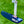 Load image into Gallery viewer, Brand New 2-Tone Chromatic Blue Scotydale 009m w/Tungsten Sole Weights &amp; Welded Polished Neck

