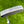 Load image into Gallery viewer, Brand New 009m SSS "Putter Studio" w/Welded Neck &amp; Single Milled Blue Tour Bombs @ 350g
