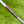 Load image into Gallery viewer, Brand New 009m SSS "Putter Studio" w/Welded Neck &amp; Single Milled Blue Tour Bombs @ 350g
