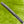 Load image into Gallery viewer, Brand New 009m SSS "Putter Studio" w/Welded Neck &amp; Single Milled Blue Tour Bombs @ 350g
