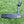 Load image into Gallery viewer, Brand New (Spieth Style) 009m Carbon w/USA Neck Hand Stamping @ 350g
